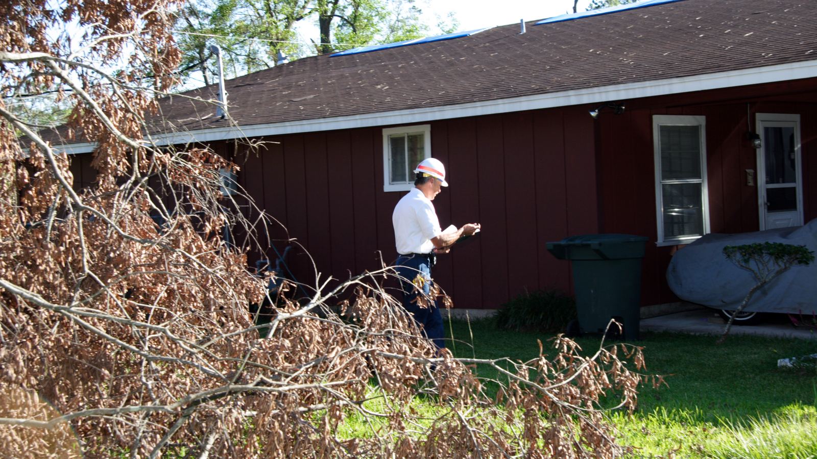 Inspector documenting storm damage at a Texas home with a downed tree