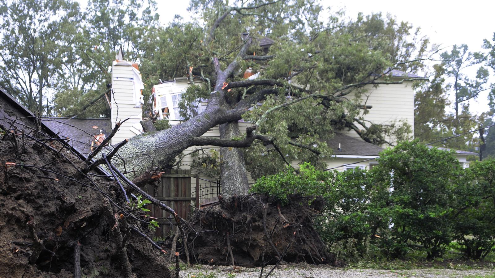 Uprooted tree fallen onto the roof of a two-story home after a storm